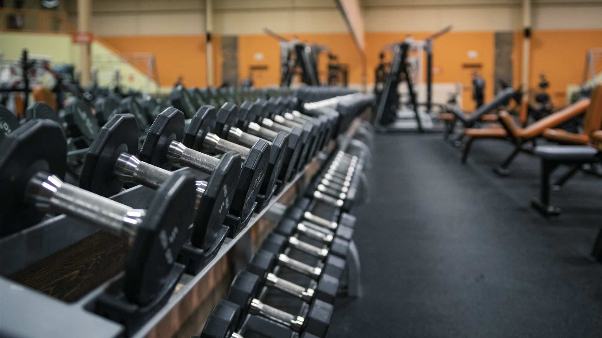 Dumbbell racks running the length of the free-weight area at Fit Evo.