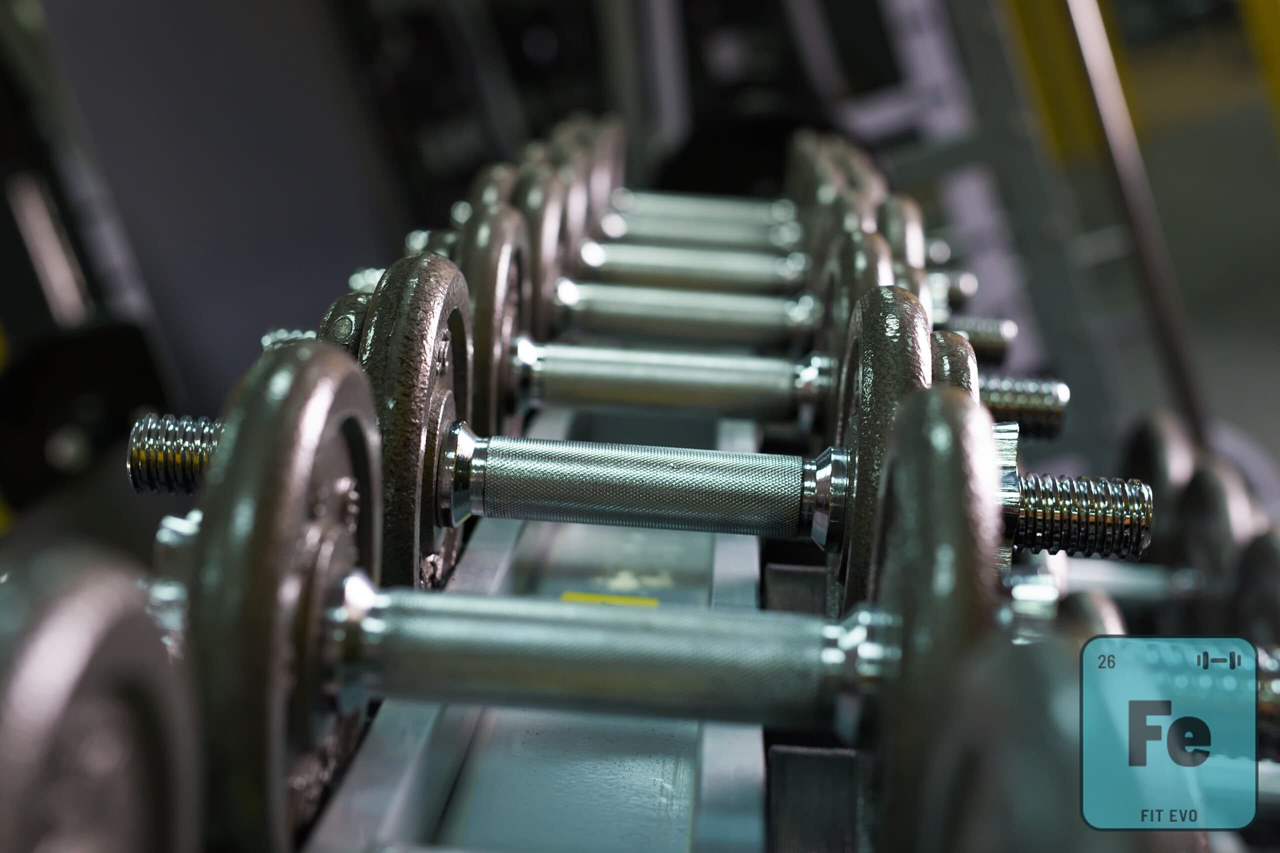 Chest Workout Routine: Your Guide to Chest Day Gains