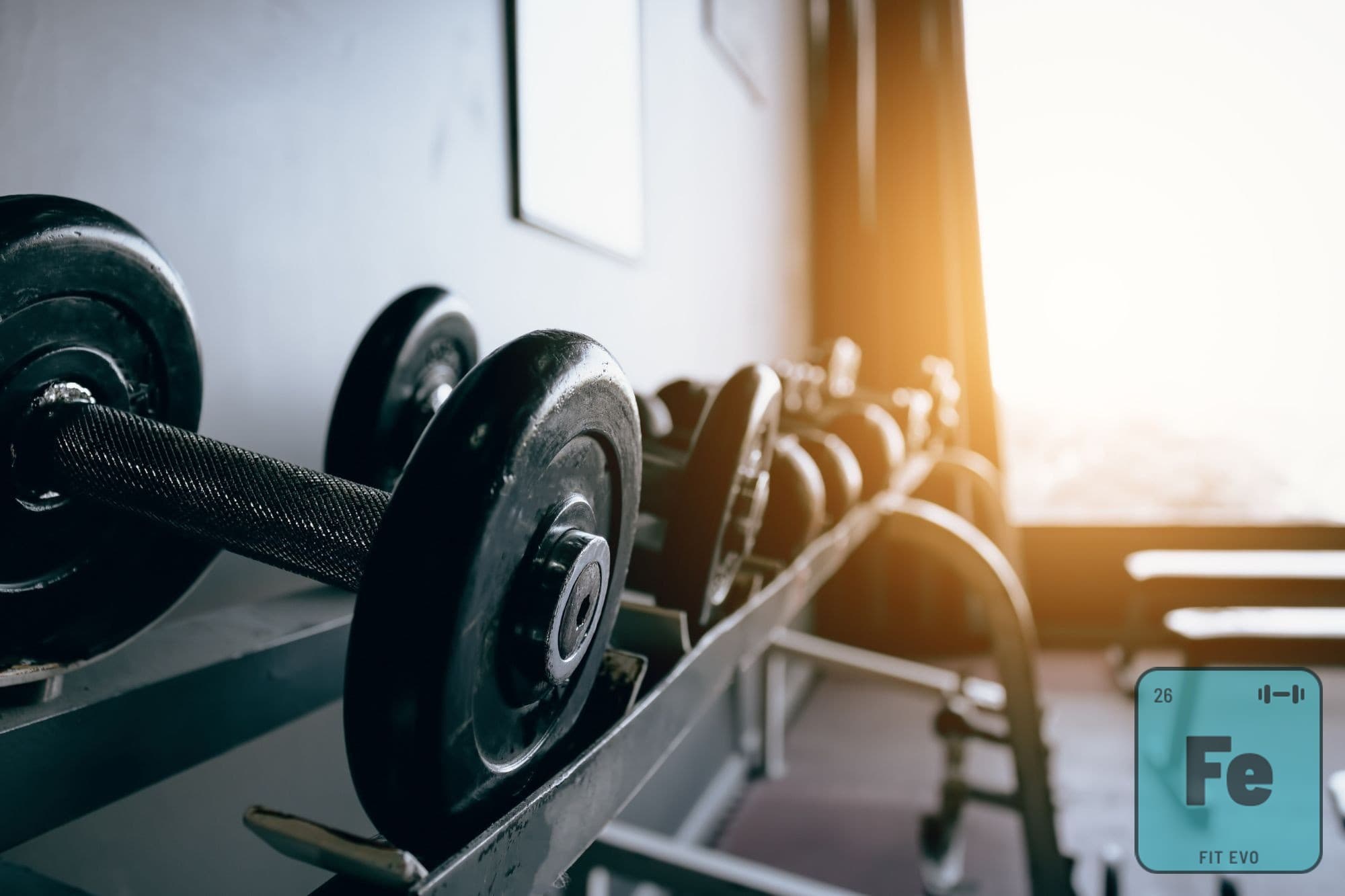 Good Workout Plan for Beginners