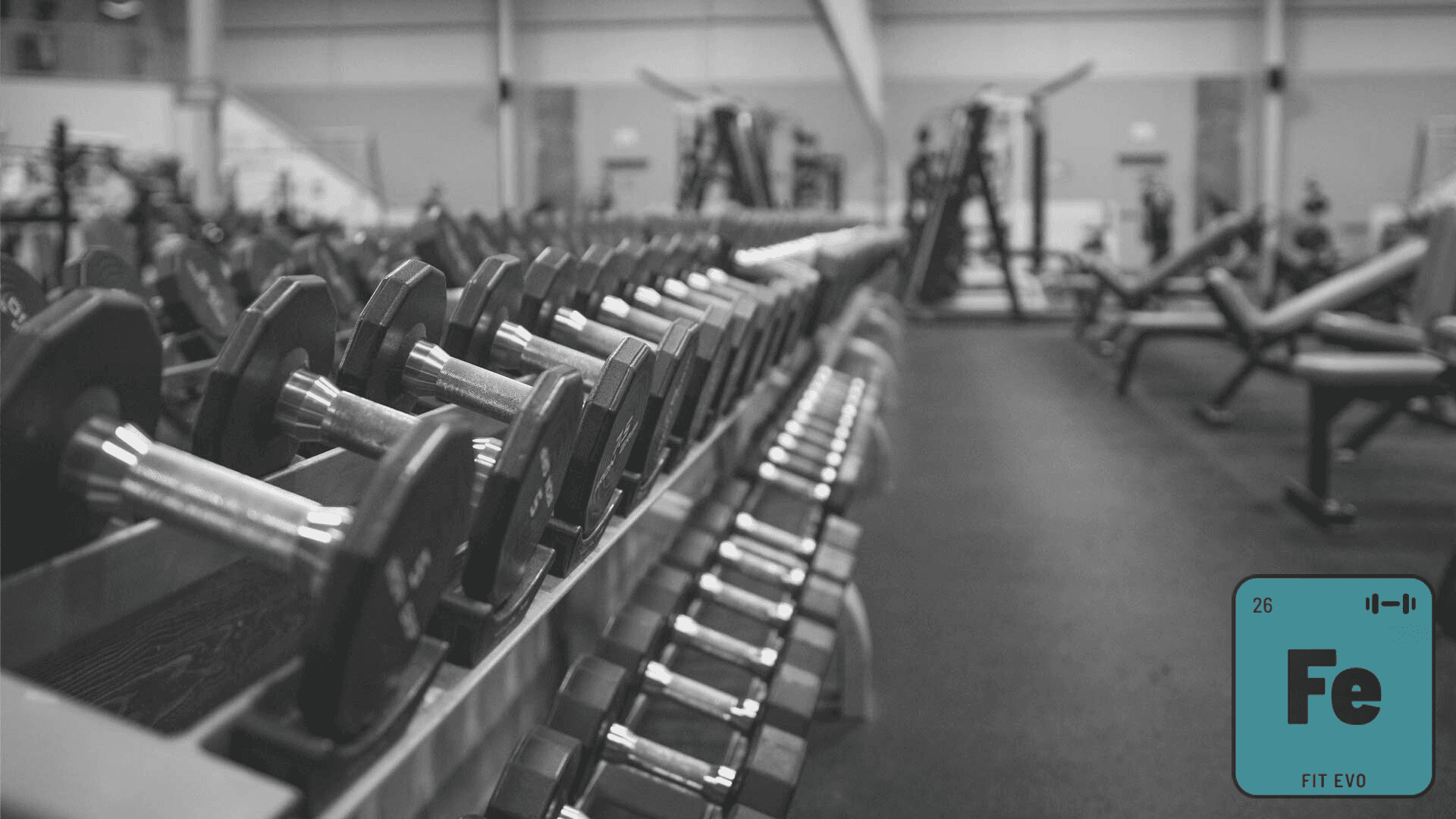 The Best Forearm Workout Tools: Grip, Strength, and Gains