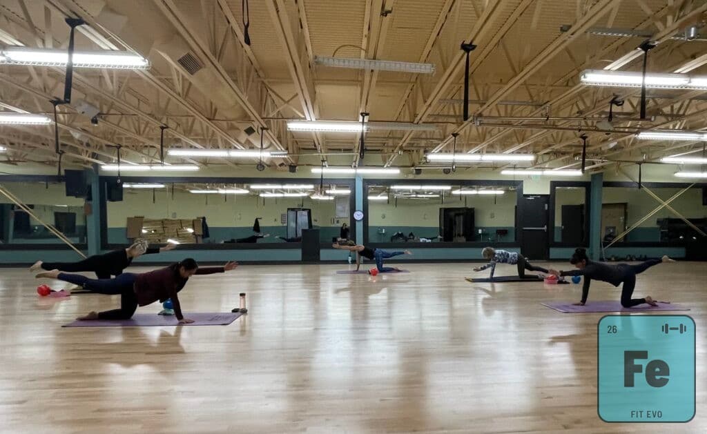 Members on mats extending opposite arm and leg in a bird-dog position.