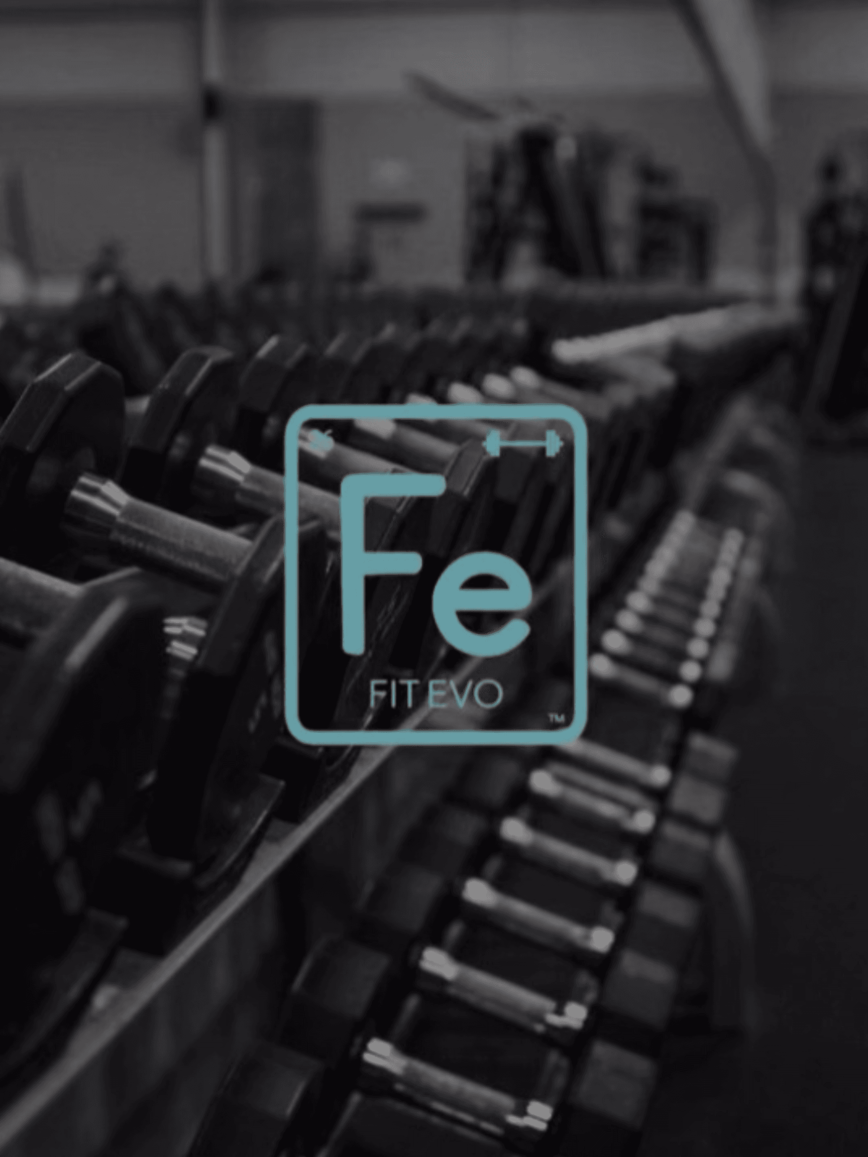A loaded dumbbell rack on the Fit Evo strength floor.