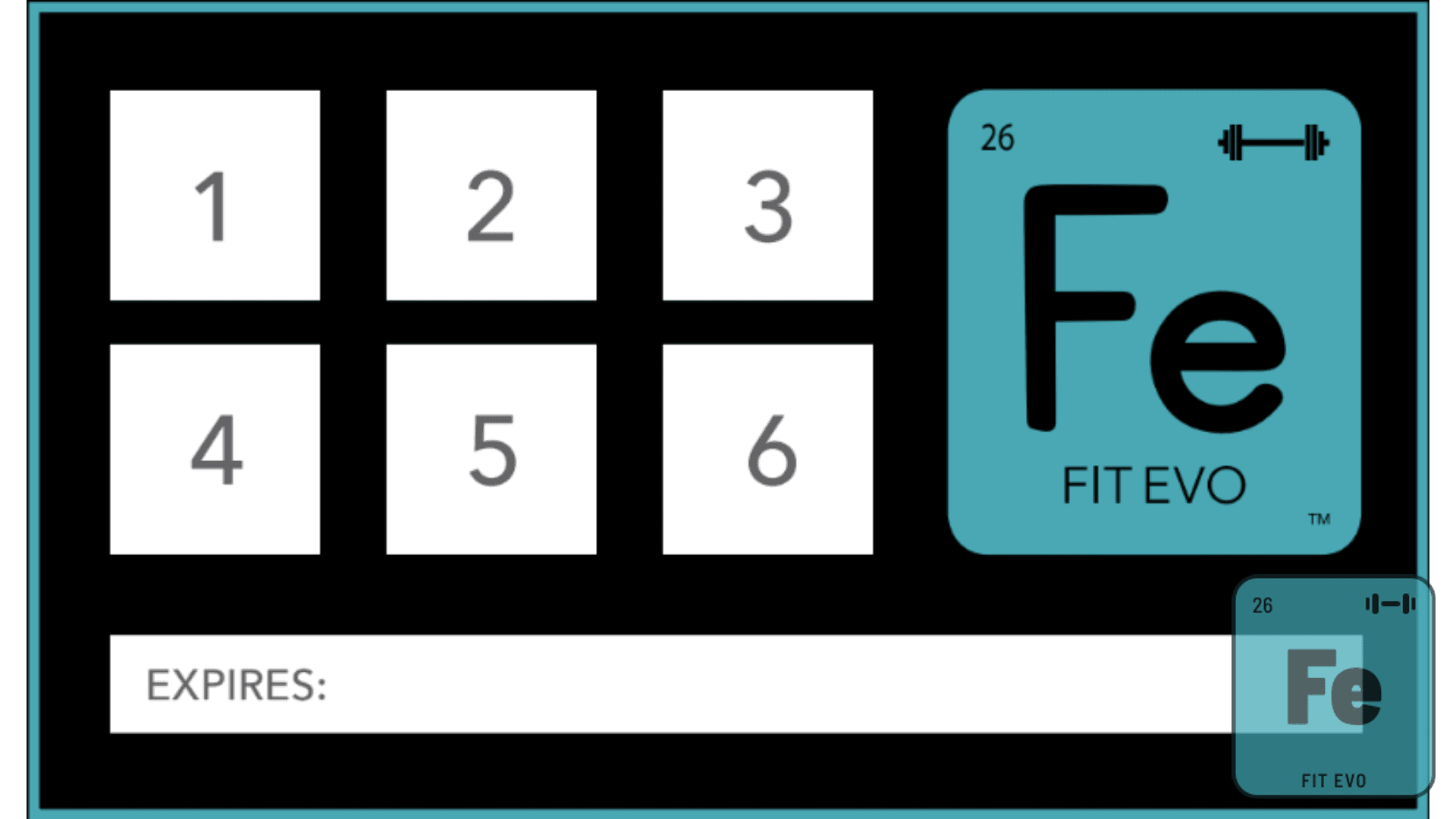 A FIT EVO six-visit punch card, with a space to mark each visit and an expiry line.