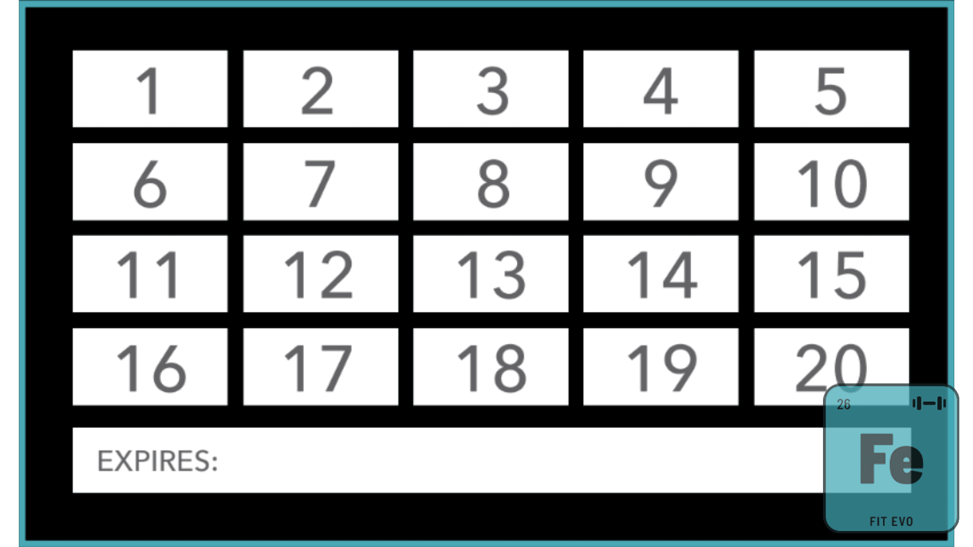 A FIT EVO twenty-visit punch card, with a space to mark each visit and an expiry line.