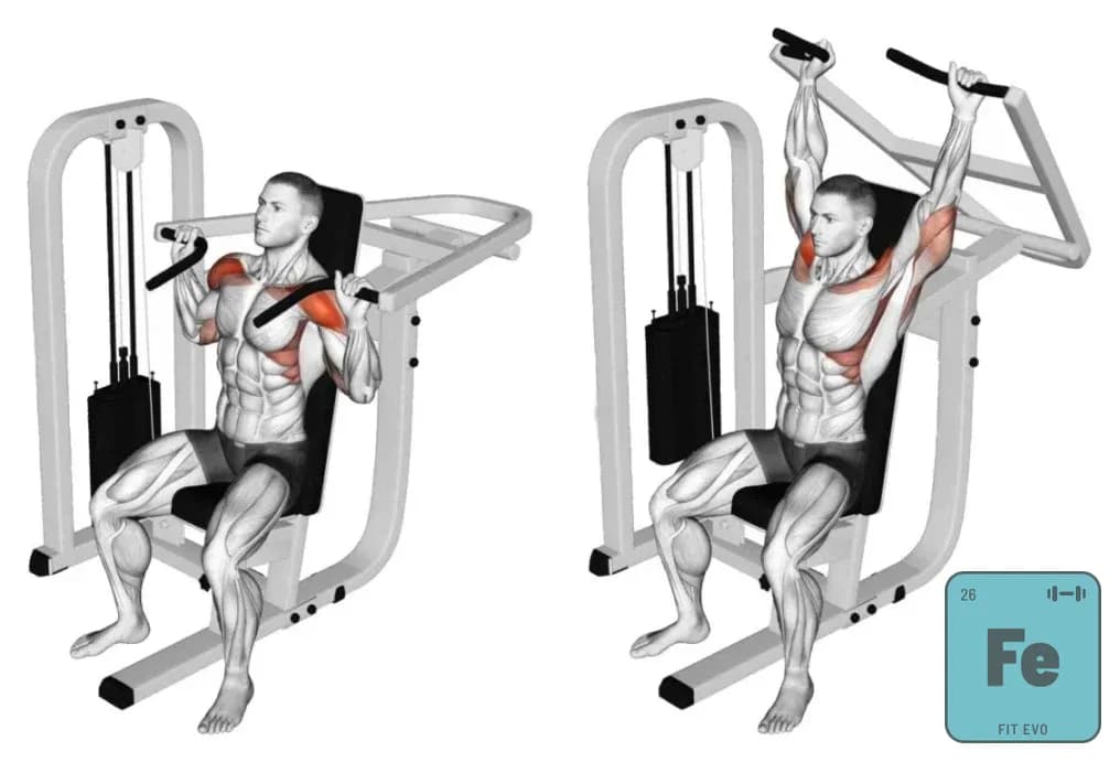 Why Back and Shoulders Matter