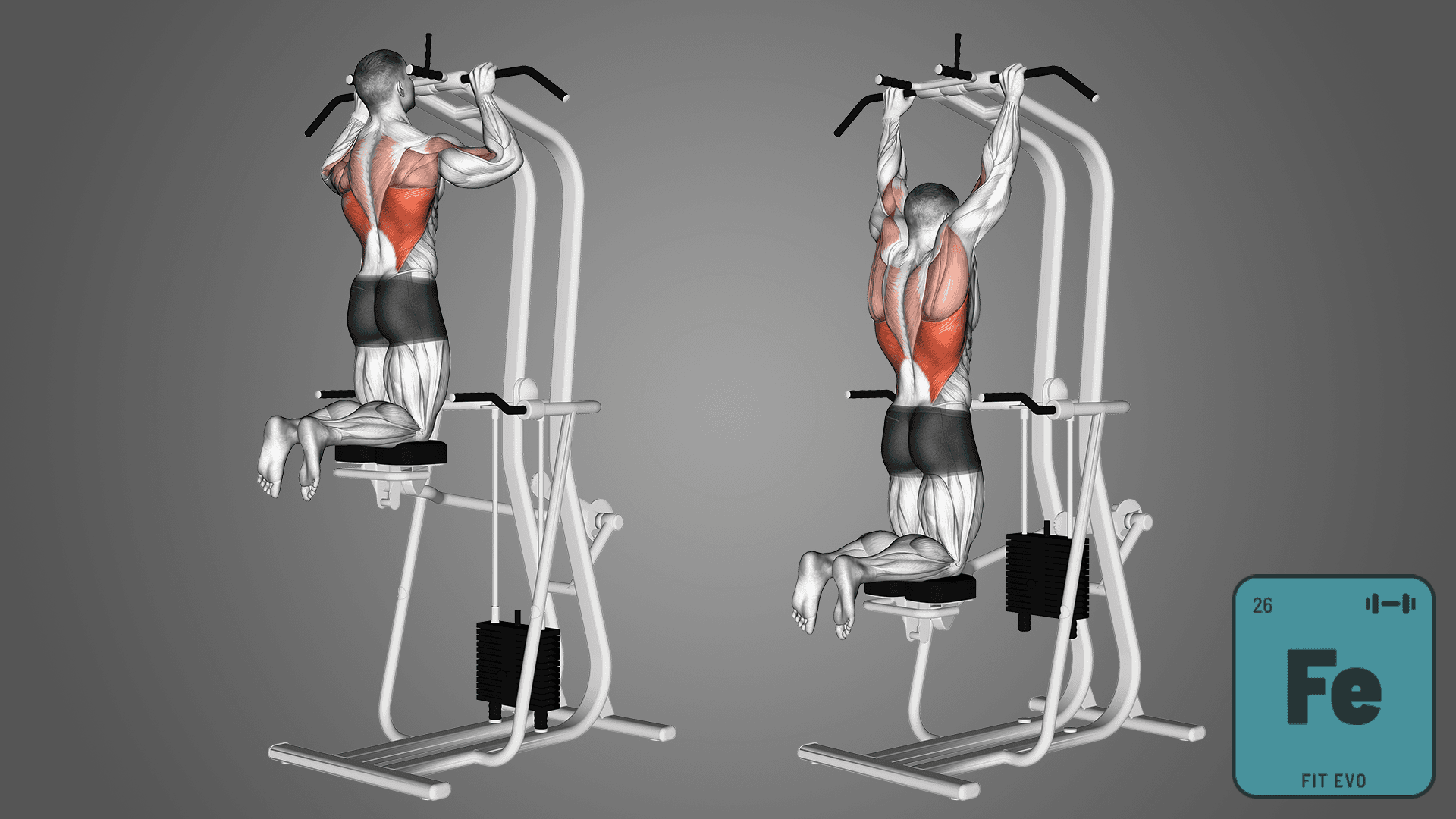 Mastering Your Workout with an Assisted Pull Up Machine
