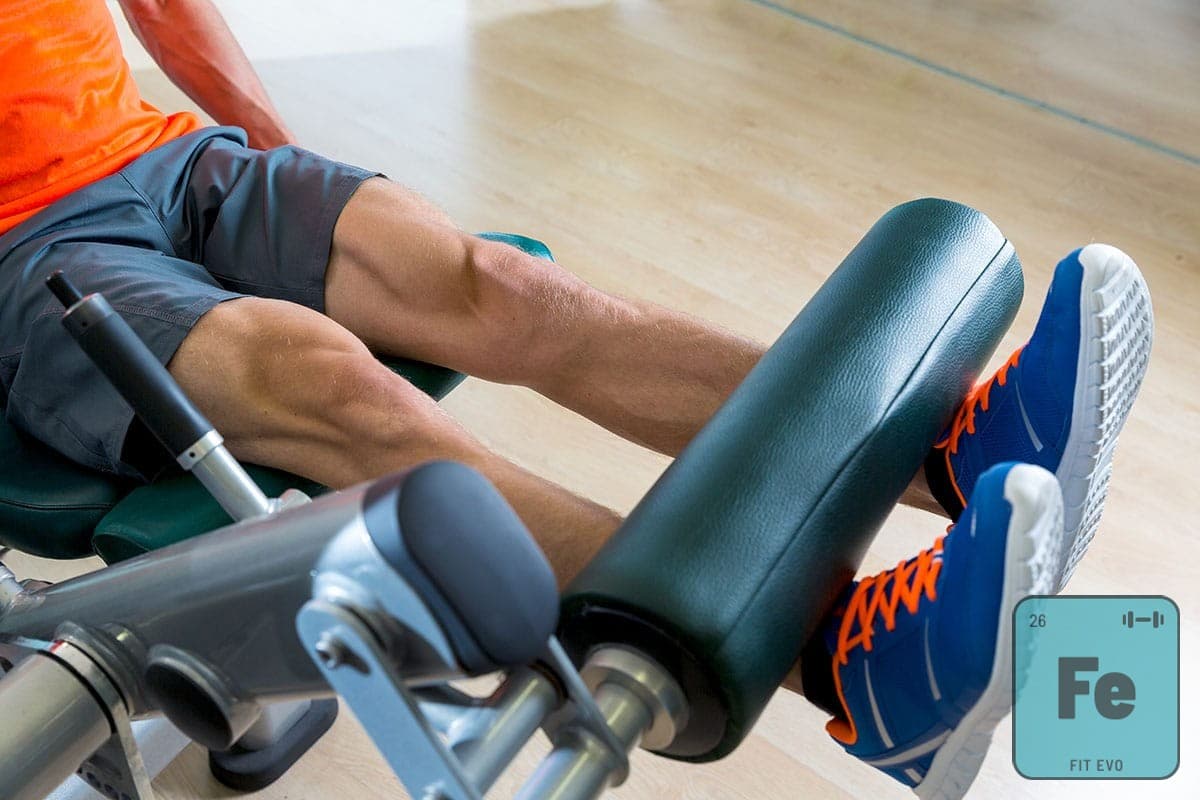 Leg Machines at the Gym: A Friendly Guide to Building Stronger Legs