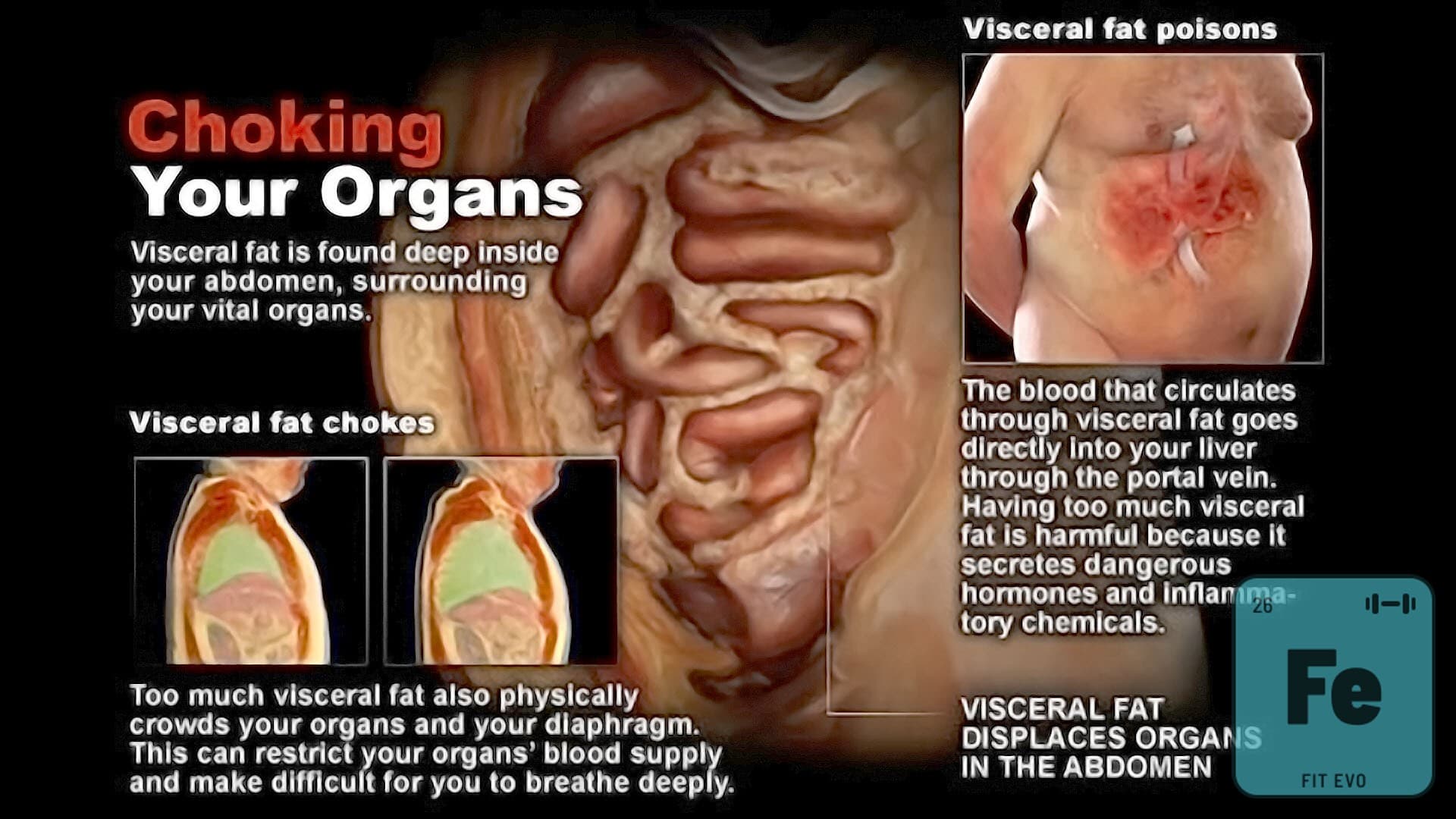How to Get Rid of Visceral Fat (Without the Stress)