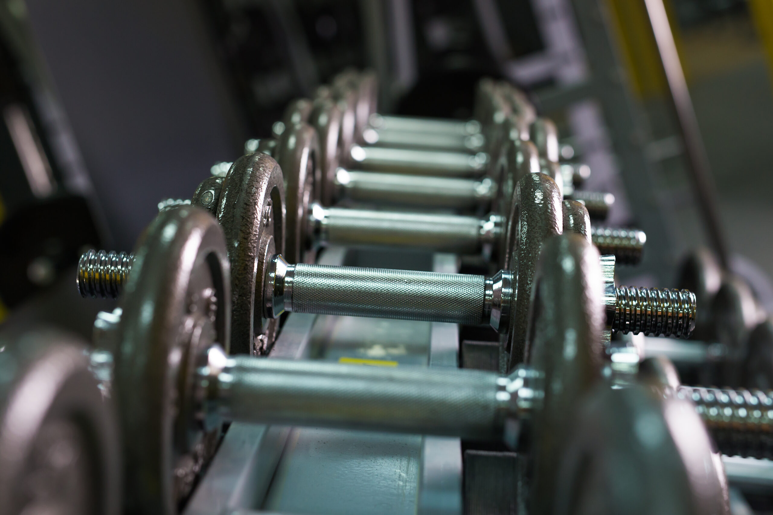 rows of dumbbells in the gym 2021 08 28 07 46 46 utc scaled
