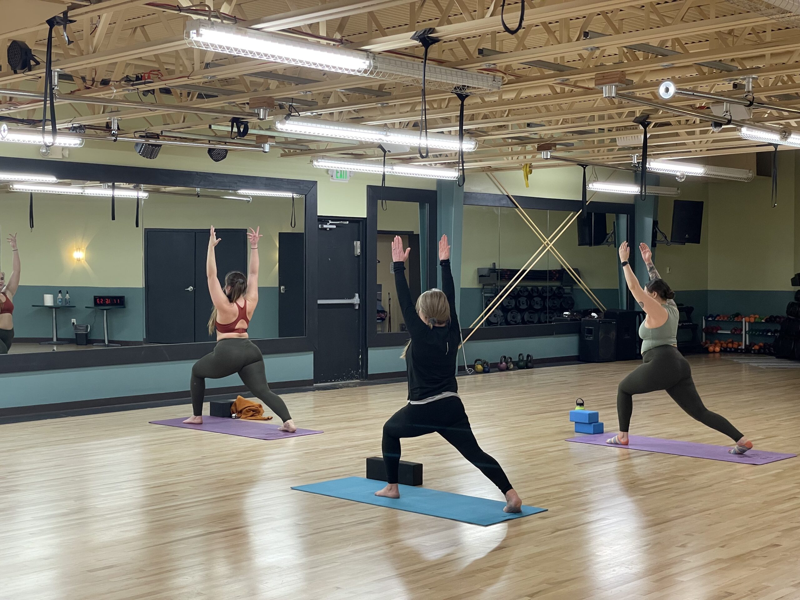 Warrior® Tai Chi Yoga - Alignment Essentials