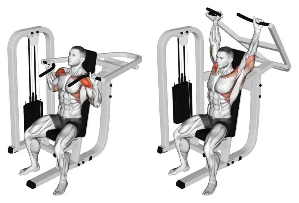 Shoulder Press Machine