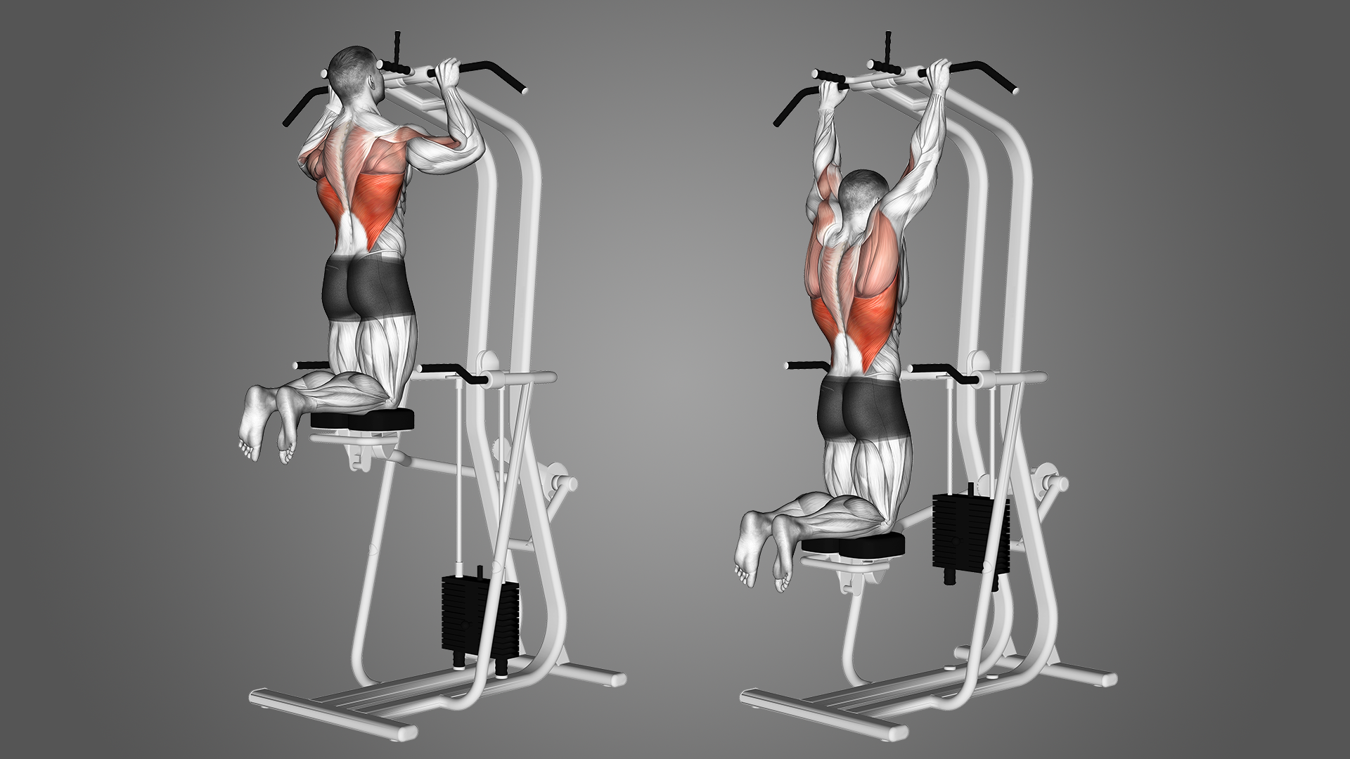 assisted pull up benefits