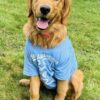Autism Awareness Youth T-Shirt